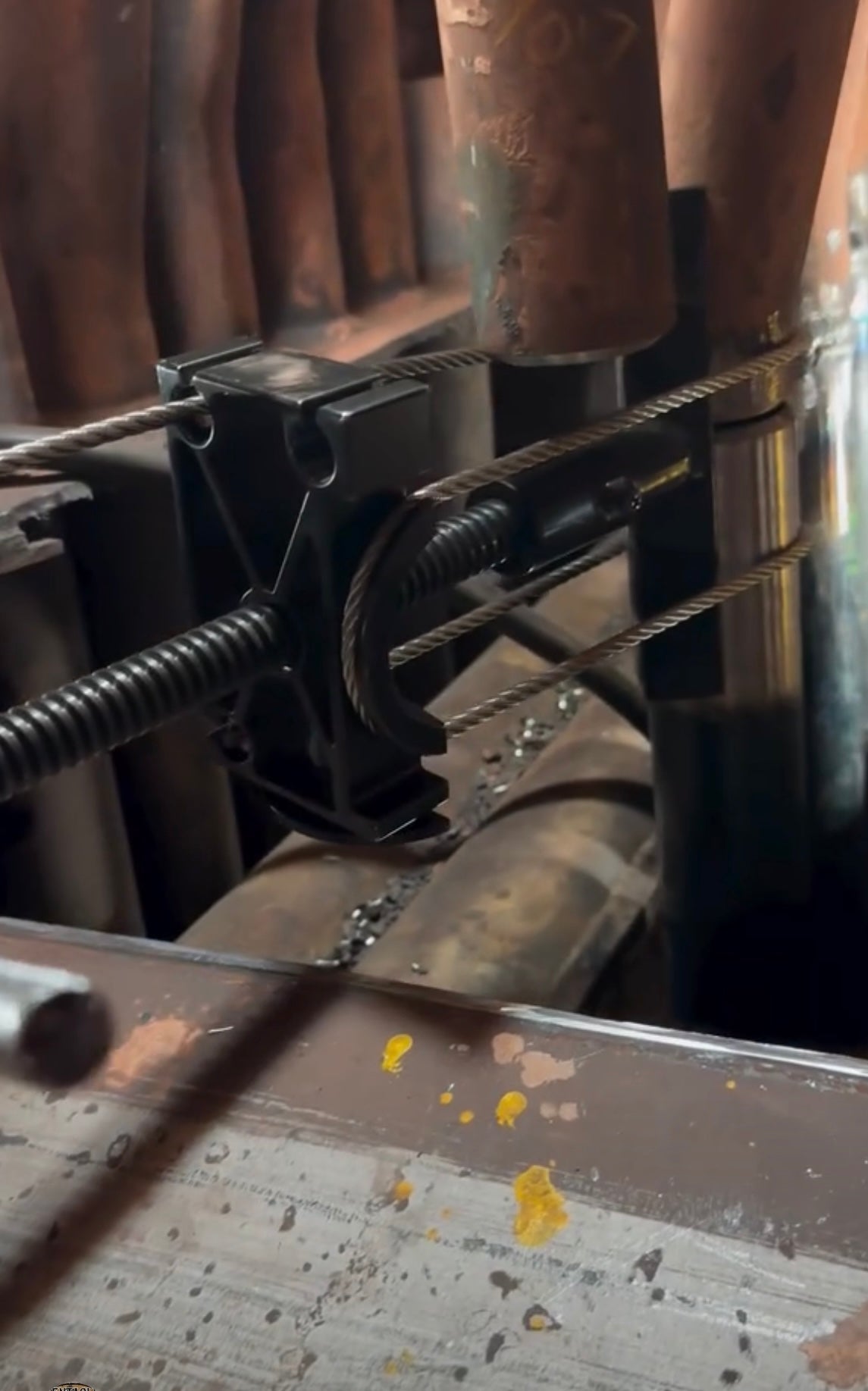 Pre-order only !! Estimated mid December!!Little Fitter 3.0  (New Model)